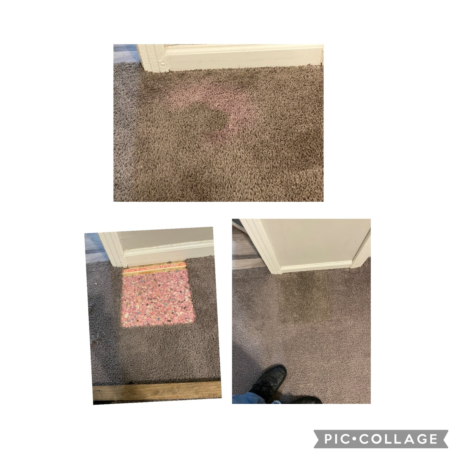 Carpet Repair 1 carpet with a permanent stain. The affected area being removed and replaced with new carpet.