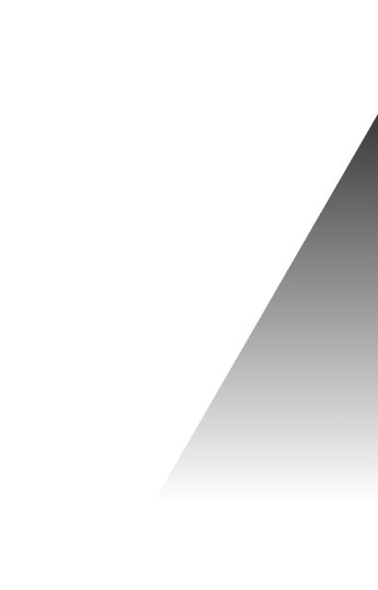 Polygon 10
